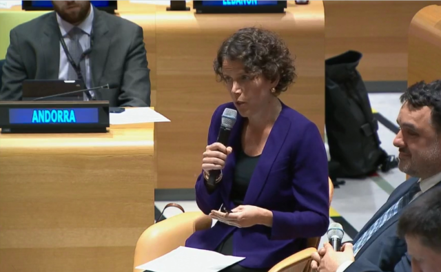 UN Economic & Social Council Partnership Forum